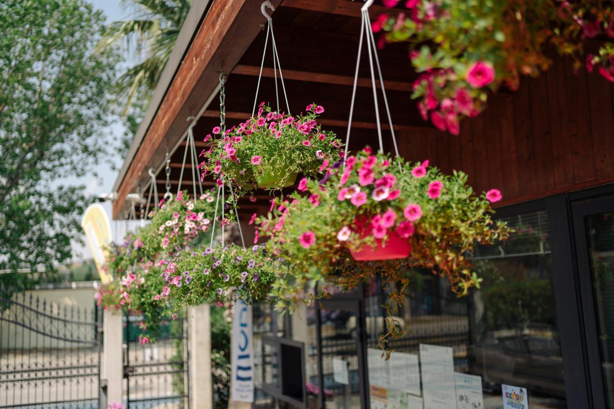 Camping Village Lake Placid Silvi Marina Exterior foto